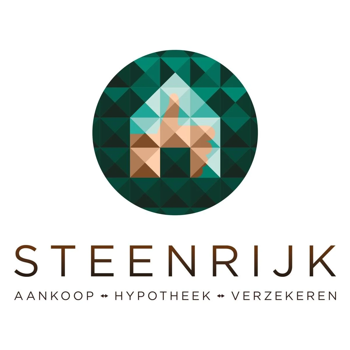 Steenrijk Hypotheken en Verzekeren logo
