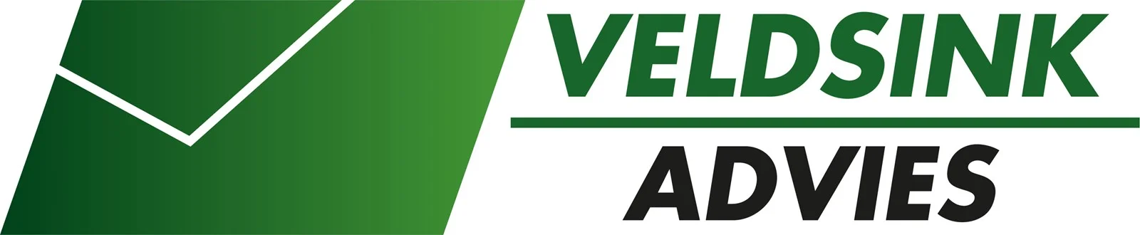 Veldsink Advies Meppel logo